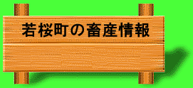 ̒{Y